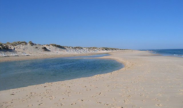 pesadilla Oxidar Mansedumbre Las mejores playas para ir con niños en Portugal - Iberismos